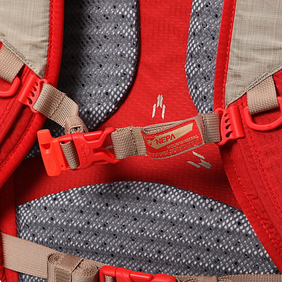 디테일컷 이미지